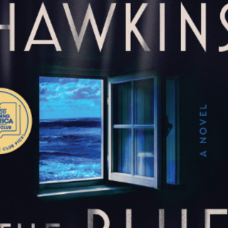 Download PDF The Blue Hour by Paula Hawk
