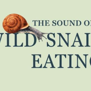 Download (PDF) Book Bloomsbury Wildlife 