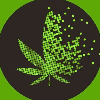Syndicate inc. 🍃