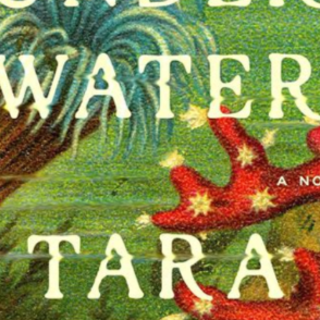 Download Book Under Water by Tara Menon
