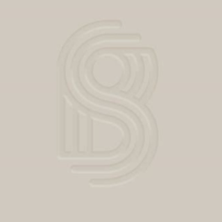 Read PDF The Origins of Efficiency by Br