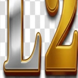 JL29