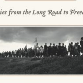 Download (PDF) Book Democracy: Stories f