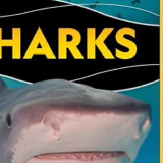 Read PDF National Geographic Kids - Shar