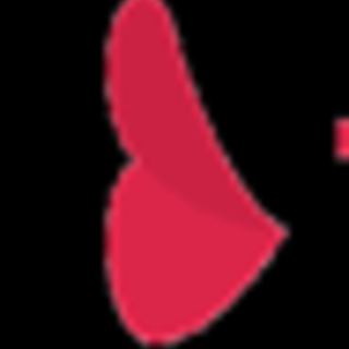 Toronto Passions Escorts