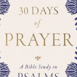 Read (PDF) Book 30 Days of Prayer: A Bib