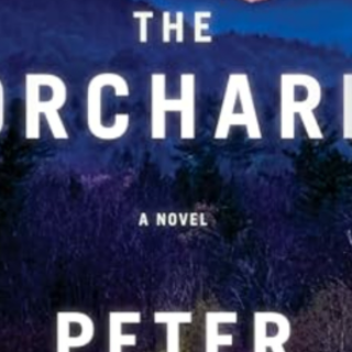 Read [PDF] Book The Orchard: A Novel (Vi