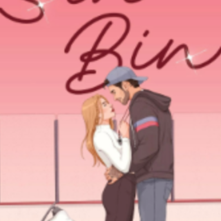 Get Free [PDF] Sin Bin (D.C. Stars, #5) 