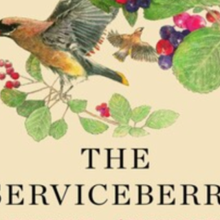 Get (PDF) Book The Serviceberry: Abundan