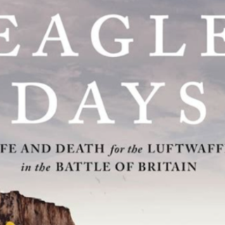Read PDF Eagle Days: Life and Death for 