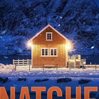 (PDF) Book Read Last Seen Alive: A Small