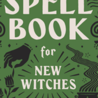 Download PDF The Spell Book for New Witc