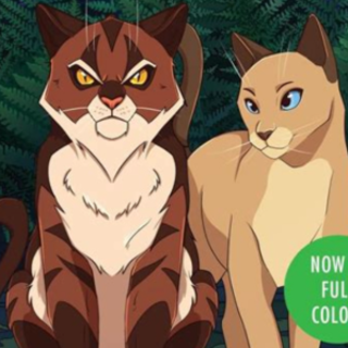 (PDF) Book Free Warriors: Tigerstar and 