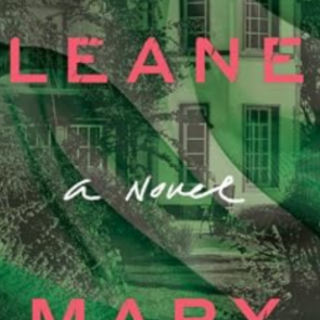 Get [PDF] Book The Cleaner by Mary Watso