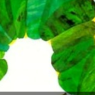 Read (PDF) Book The Very Hungry Caterpil