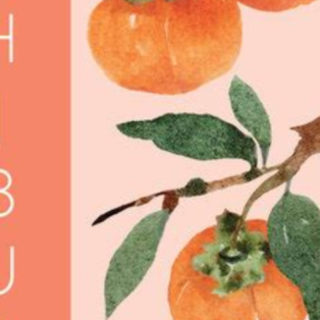 Read Book Shibui: The Japanese Art of Fi