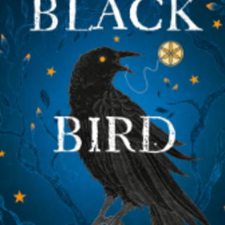 Read Free Book The Black Bird Oracle (Al