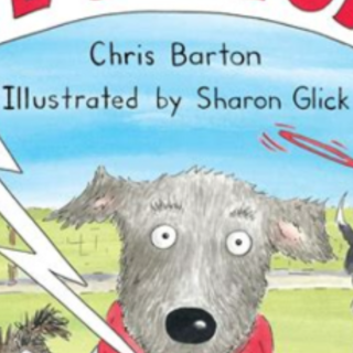 Read Book We Match! by Chris Barton