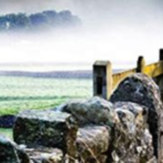 Read (BOOKPDF) Murder in York (Yorkshire