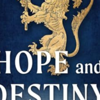 Download PDF Hope and Destiny by Niklas 