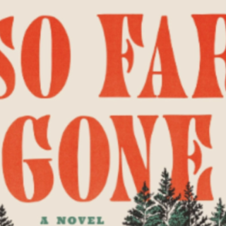 Get Free [PDF] So Far Gone by Jess Walte