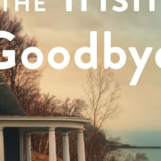 Download [PDF] Book The Irish Goodbye by