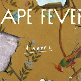 Download Book Cape Fever by Nadia Davids