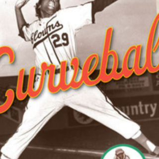 Read Free Book Curveball: The Remarkable