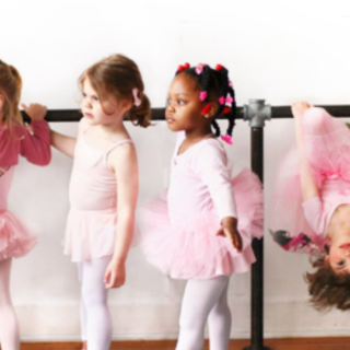 Read Book El peligro de estar cuerda by 