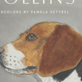 Download PDF Dog Show: Poems by Billy Co