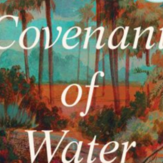 Get [PDF] Book The Covenant of Water by 