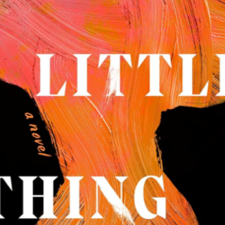 [PDF] Book Download Clever Little Thing 