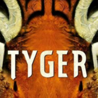 Get Free [PDF] Tyger by S.F. Said