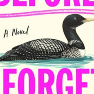 Get Book Before I Forget by Tory Henwood