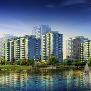 Purva Northern Lights