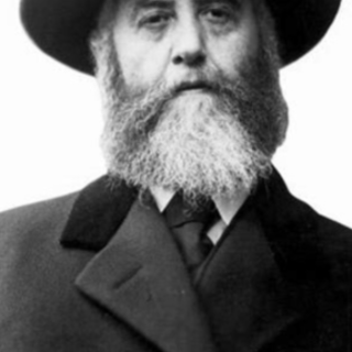 Download [PDF] Book Undaunted: How the S