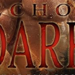 Read [PDF] Book Echo: Dark: A Military R