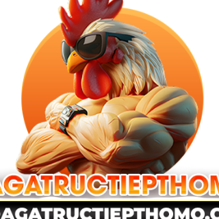 Đá Gà Trực Tiếp THOMO Đá Gà Trực Tiếp THOMO