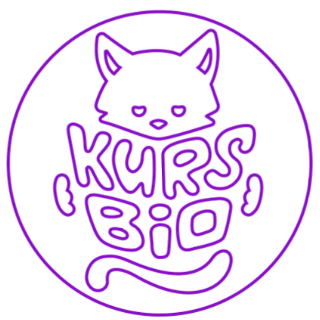 Онлайн-школа Kursbio
