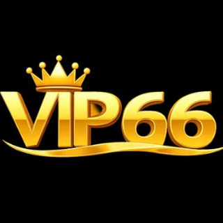 Vip66 Coach