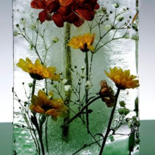 Download (BOOKFILE) Needle Lake by Justi