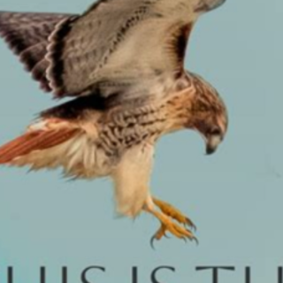 [PDF] Book Read This Is the Only Kingdom