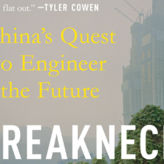 Get Free [PDF] Breakneck: China's Quest 