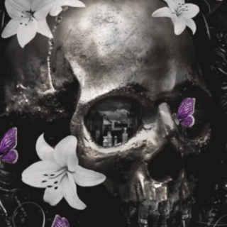 Get Book Nocticadia by Keri Lake