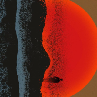 (PDF) Book Free Flashlight by Susan Choi