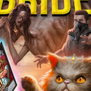 Download Book The Eye of the Bedlam Brid