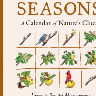 Download Book The Hidden Seasons: A Cale