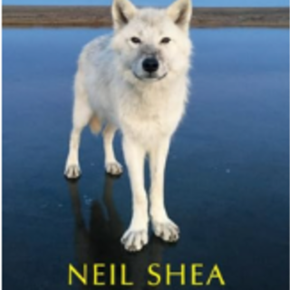 [PDF] Frostlines: A Journey Through Enta