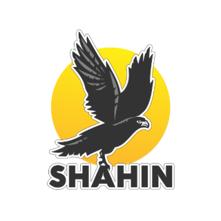 Shahin Ltd