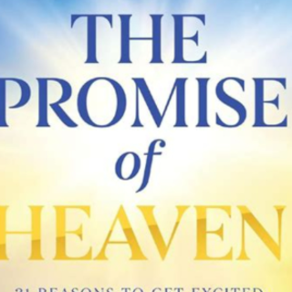(PDF) Book Download The Promise of Heave